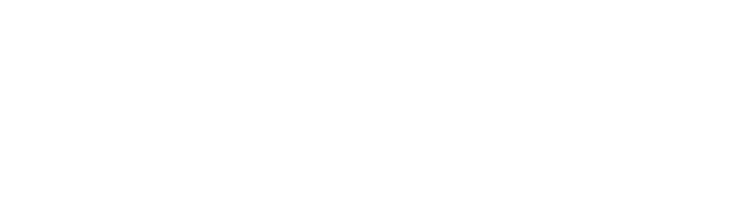 Sentido & Nervio